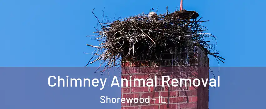  Chimney Animal Removal Shorewood - IL
