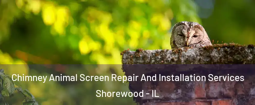  Chimney Animal Screen Repair And Installation Services Shorewood - IL
