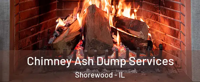 Chimney Ash Dump Services Shorewood - IL
