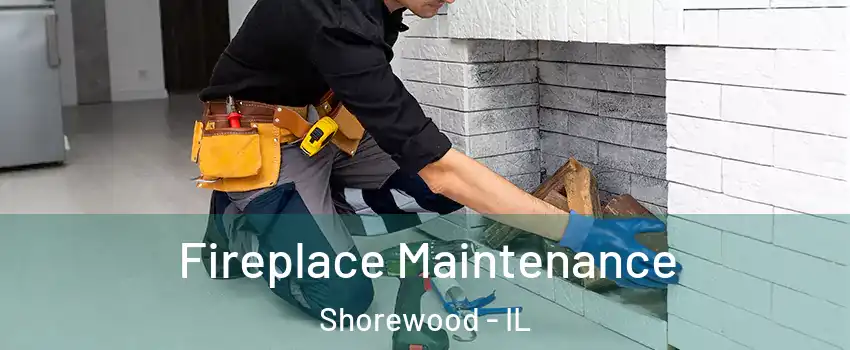  Fireplace Maintenance Shorewood - IL