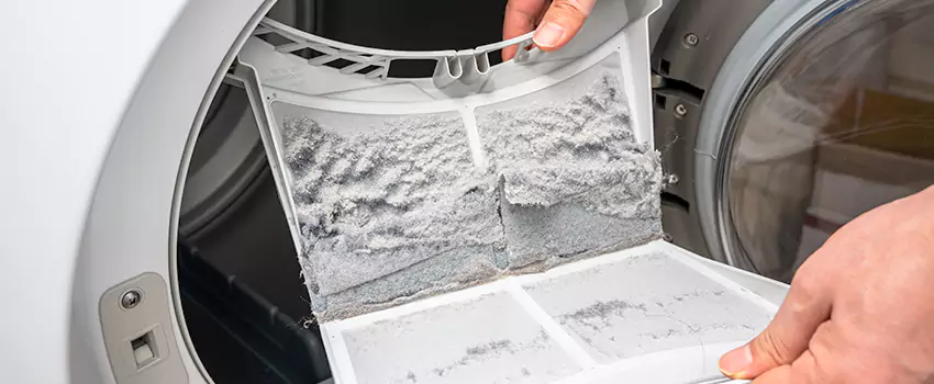 Best Dryer Lint Removal Company in Shorewood, Illinois