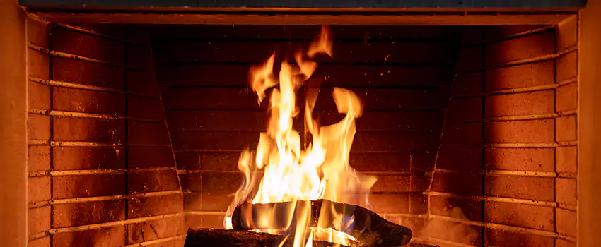 Soot Cleanup Services in Shorewood, IL