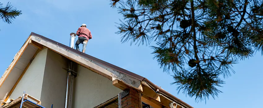 Birds Removal Contractors from Chimney in Shorewood, IL