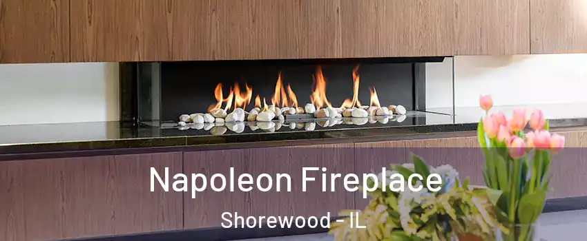  Napoleon Fireplace Shorewood - IL
