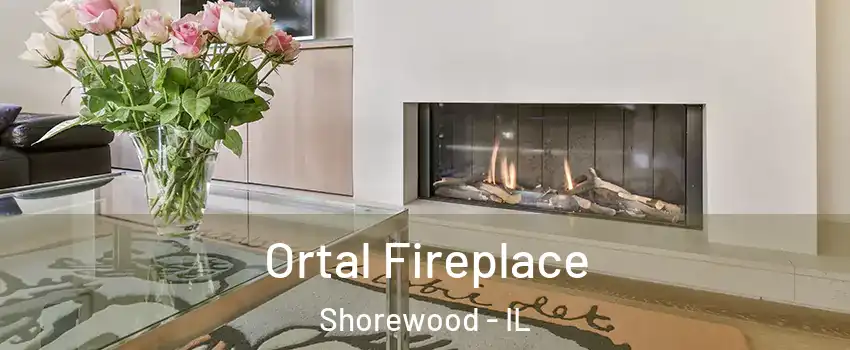 Ortal Fireplace Shorewood - IL